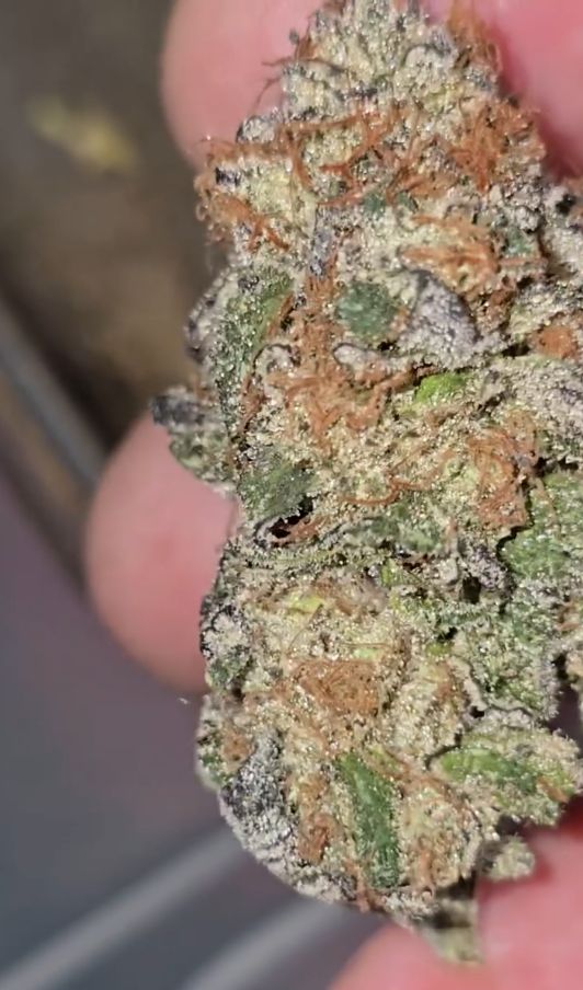 Grape Gas Clone