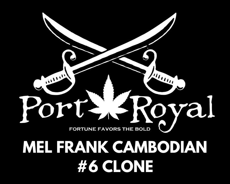 Mel Frank Cambodian #6 Clone