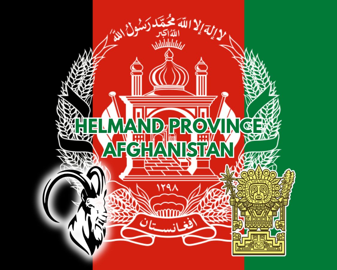 Helmand Province Afghanistan Heirloom Landrace