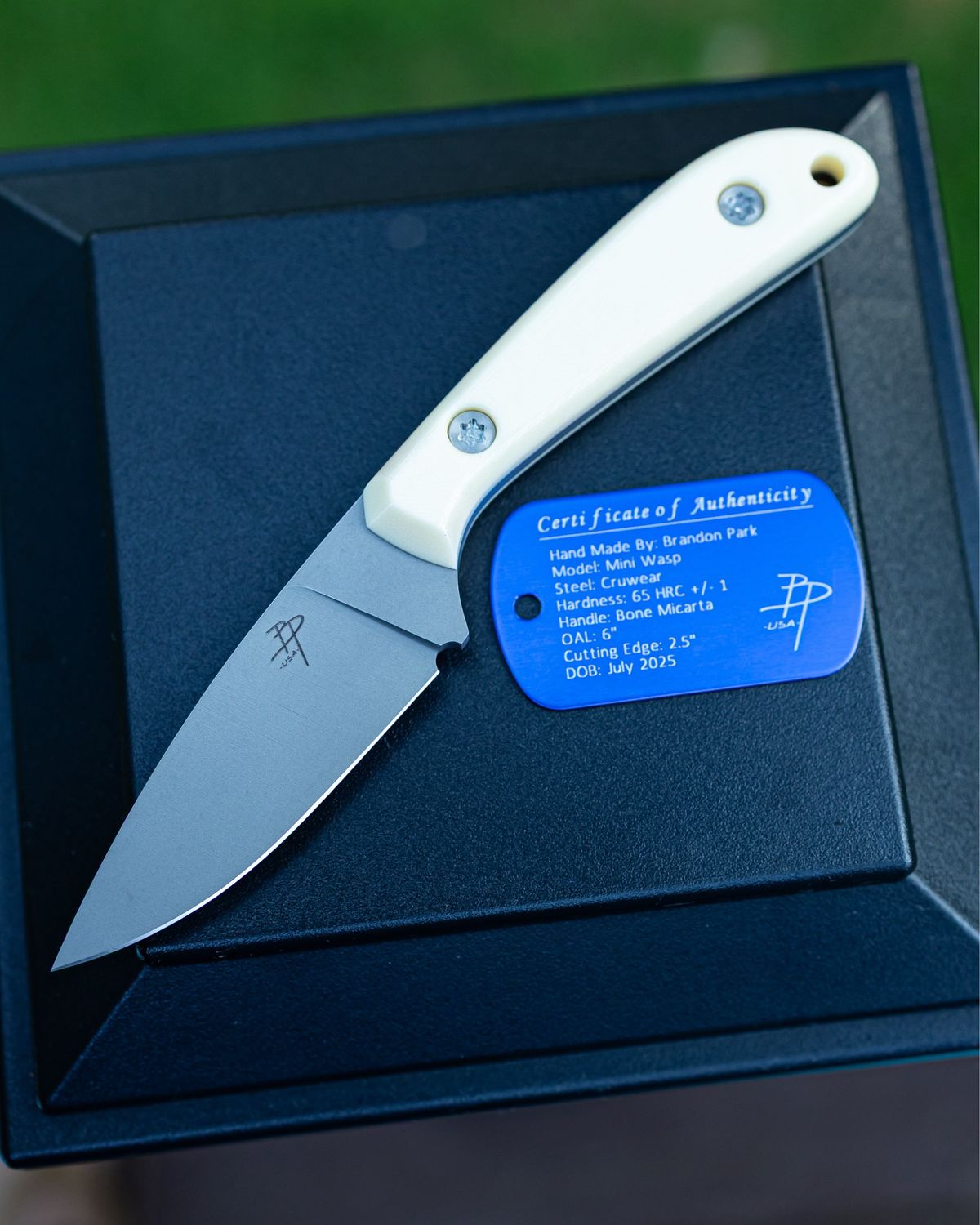 Mini Wasp - White Bone