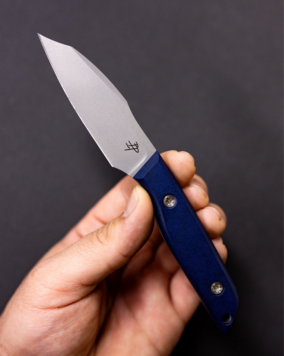 Guardian - Blue Richlite