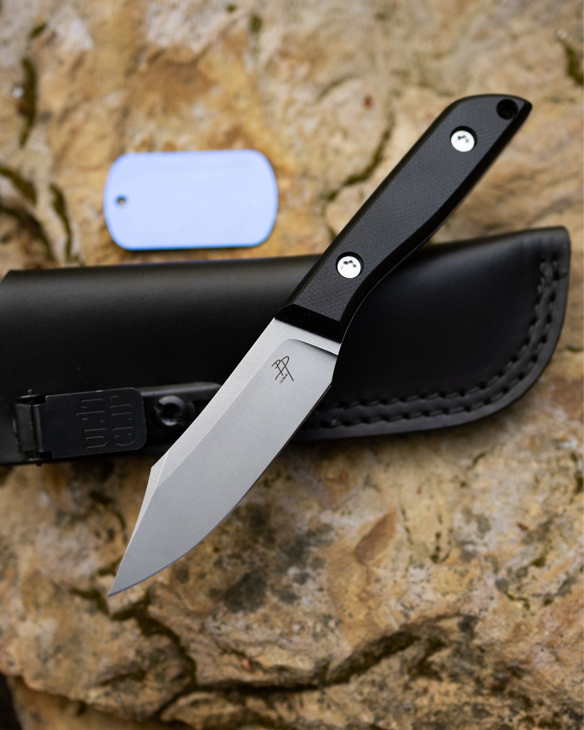 Rebel - Black Canvas