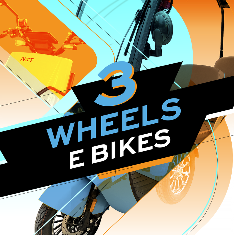 3 Wheel E Bikes