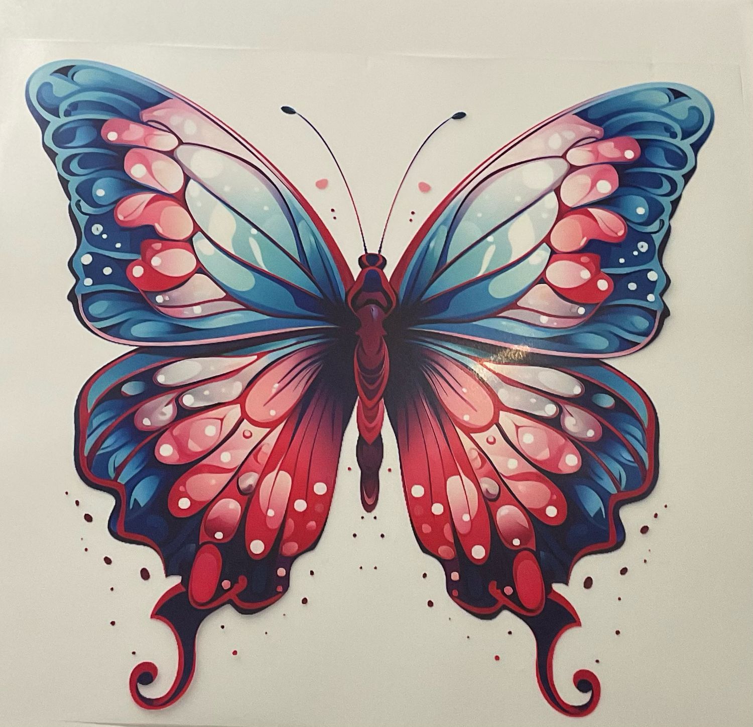 Butterfly Heat Transfers