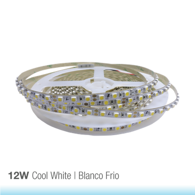 10mm SMD5050 LED Strip Cool White 6000ºK 24V 12W/m 1220lm/m 60LED/m 16.4ft