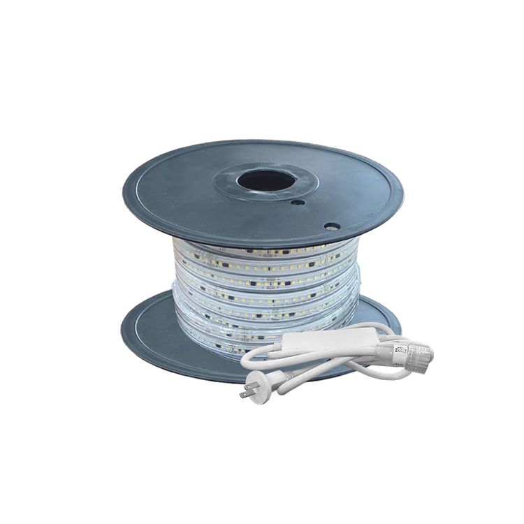 10mm SMD5050 LED Strip RGB 110V 8W/m 60LED/m 82ft