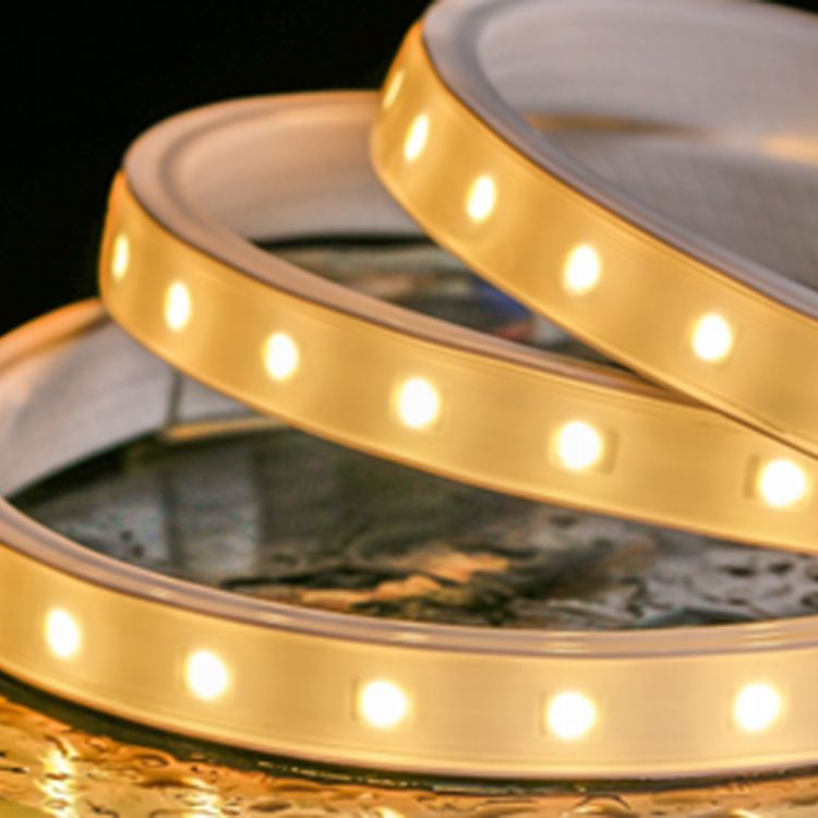 10mm SMD5050 LED Strip RGB 110V 8W/m 60LED/m 82ft