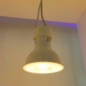 GU10 Socket, 7.4in of cable, for GU10 LED light bulbs, 50 Pack