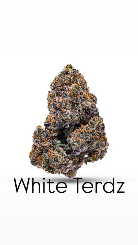 White Terdz