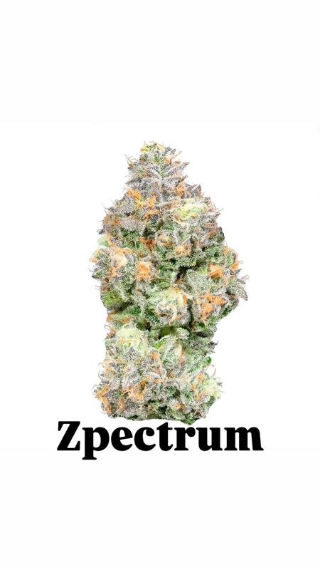 Zpectrum