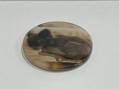 Kühlschrankmagnet