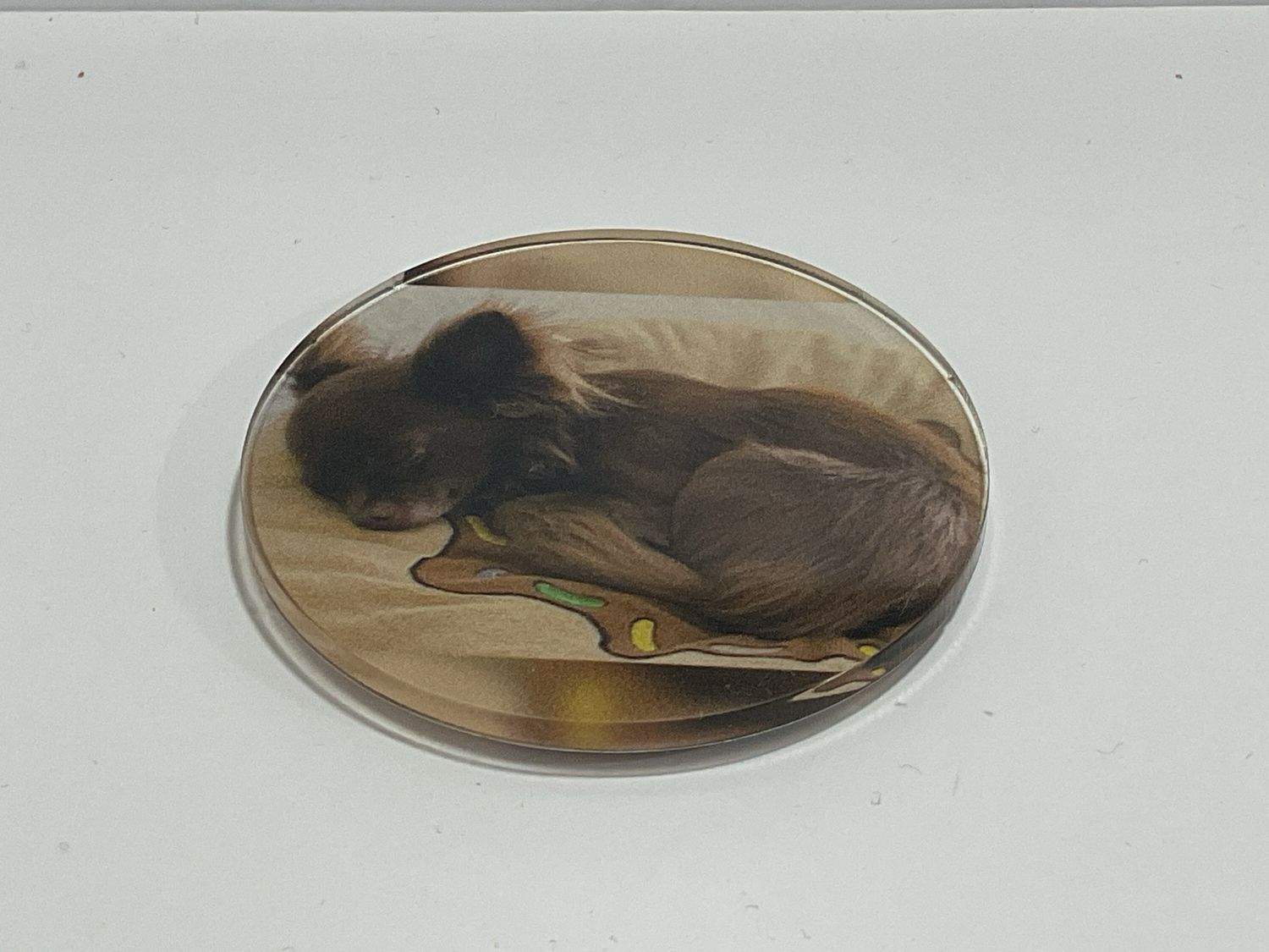 Kühlschrankmagnet