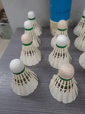 Badminton