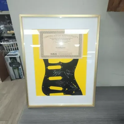 Guitar & Guitar Picks