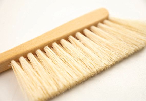 Wąska zmiotka podróżna