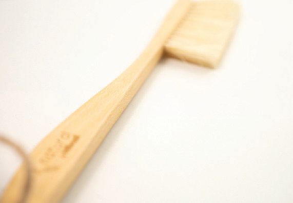 Wąska zmiotka podróżna