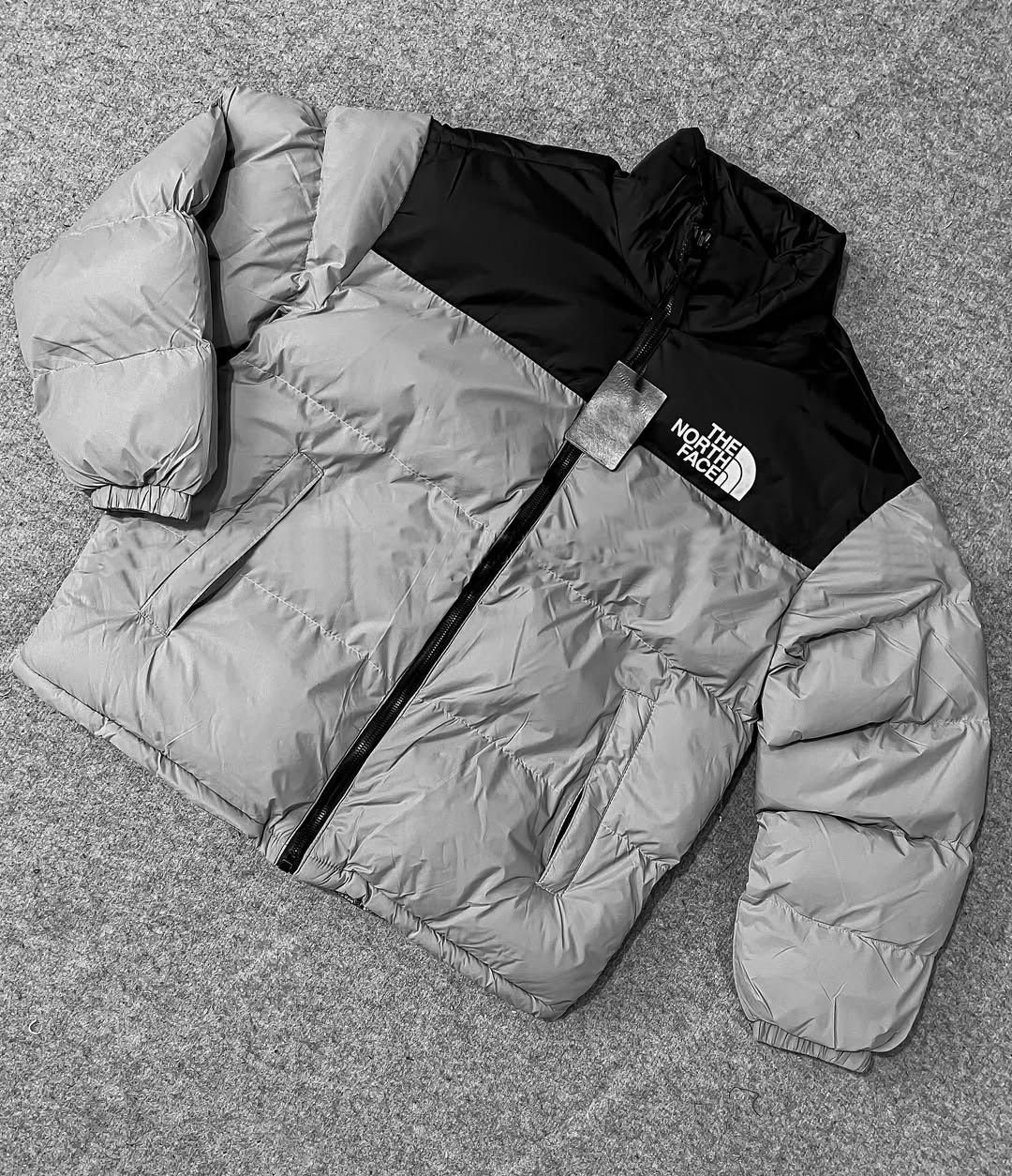 Puffer North