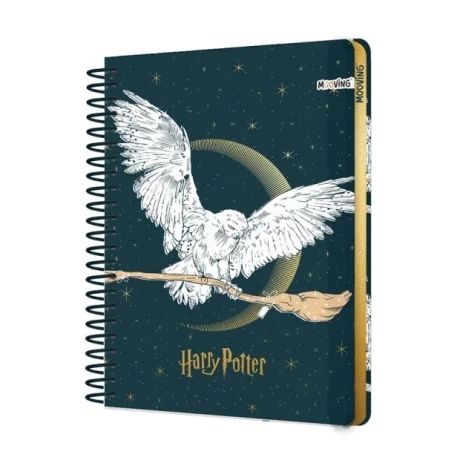 Cuaderno Harry C/Stickers
