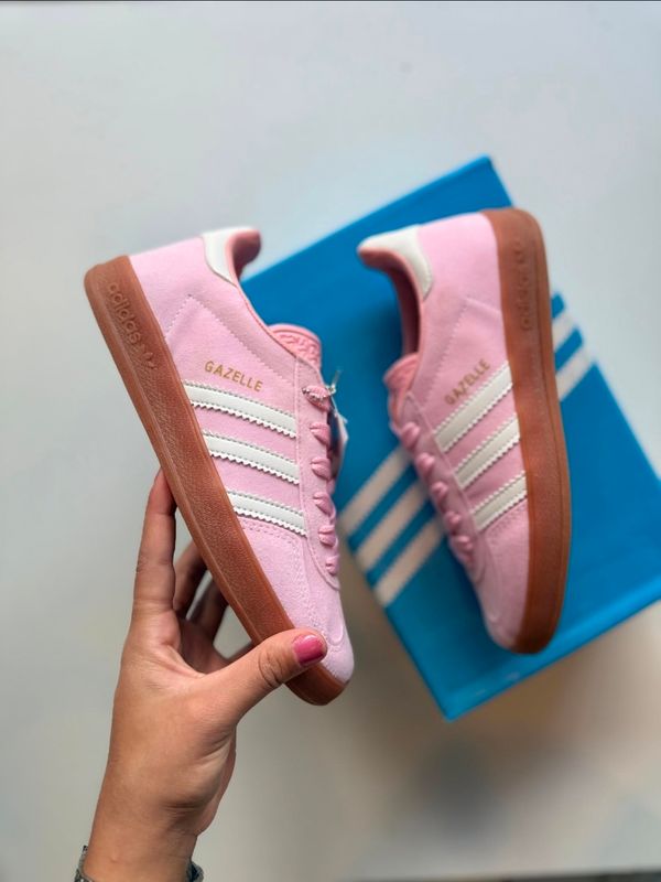 Gazelle Rosa