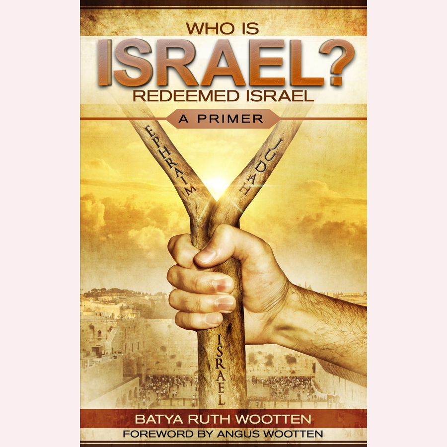 Who is Israel? Redeemed Israel: A Primer