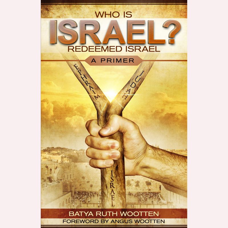 Who is Israel? Redeemed Israel: A Primer