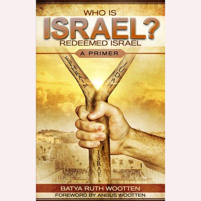 Who is Israel? Redeemed Israel: A Primer