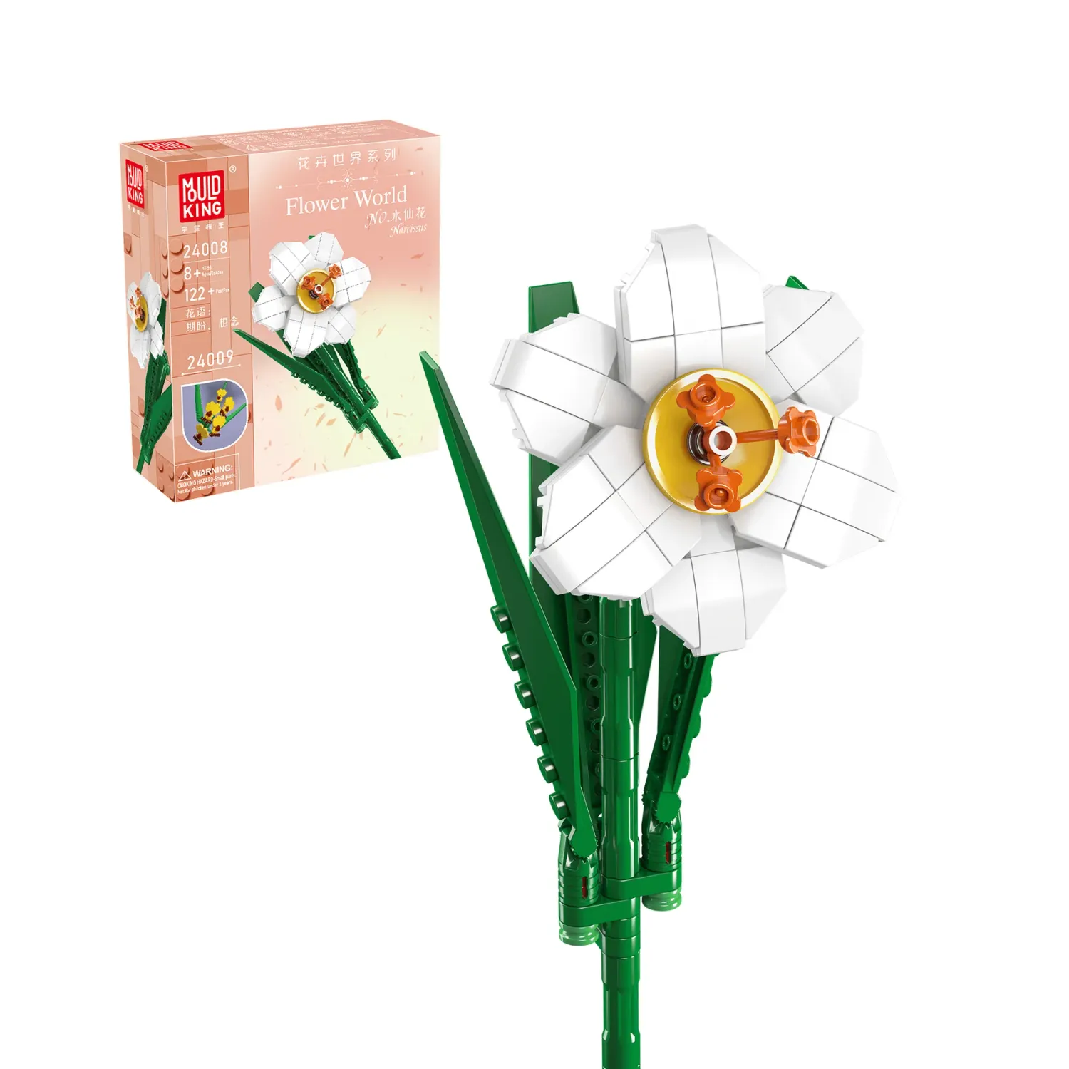 Narciso