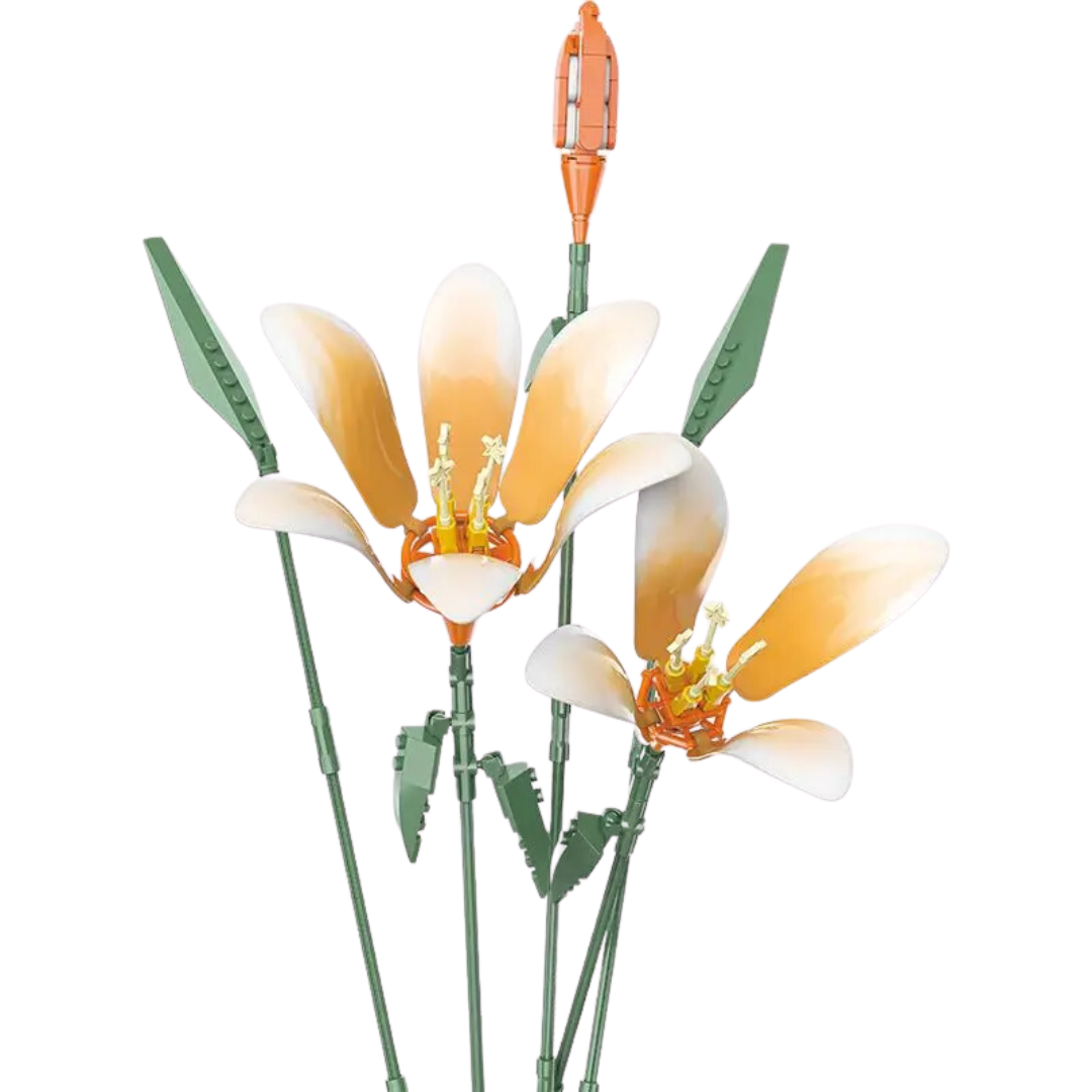 Lirios naranja