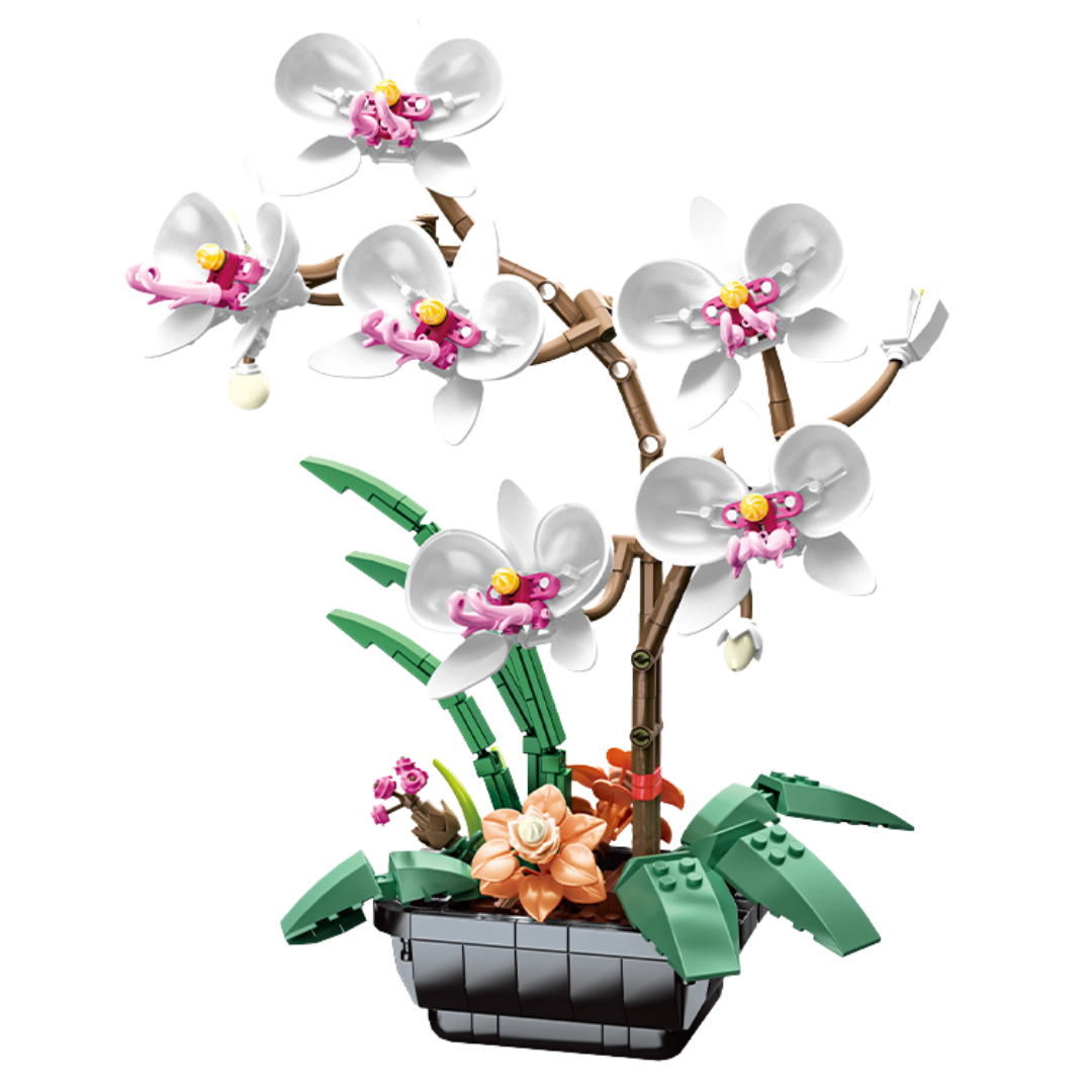 Orquídea