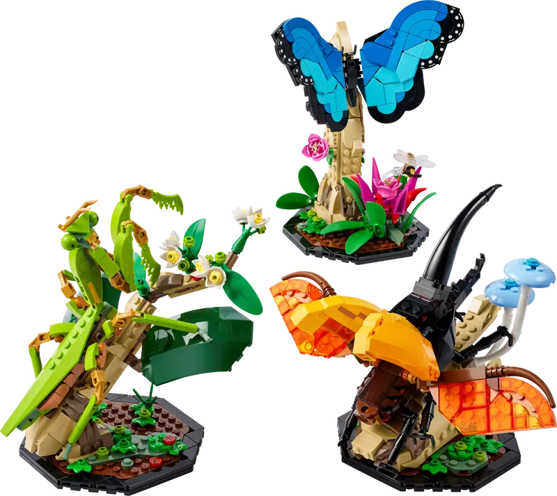 Coleccion de Insectos