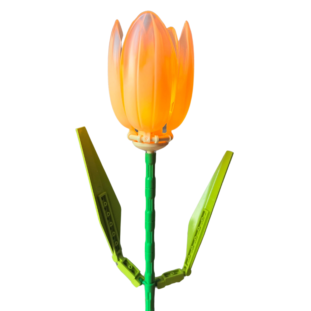 Tulipán con luz