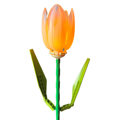 Tulipán con luz