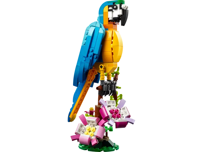 Loro exótico