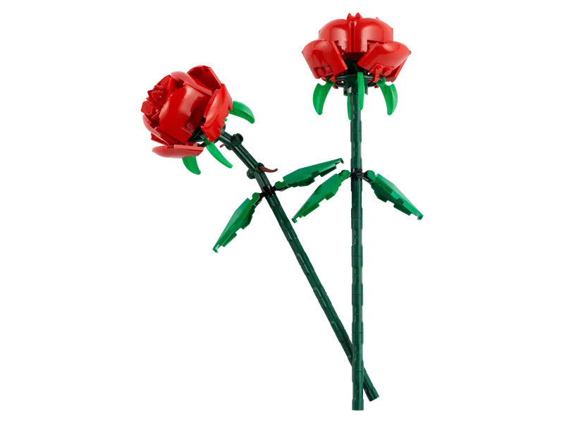 Rosas