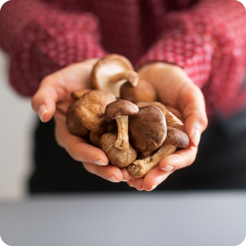 AHCC: A Promising Mushroom Extract to Clear Persistent HPV Infections