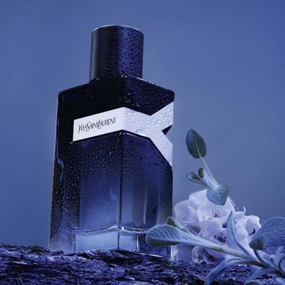 YSL Y EDP 100ML