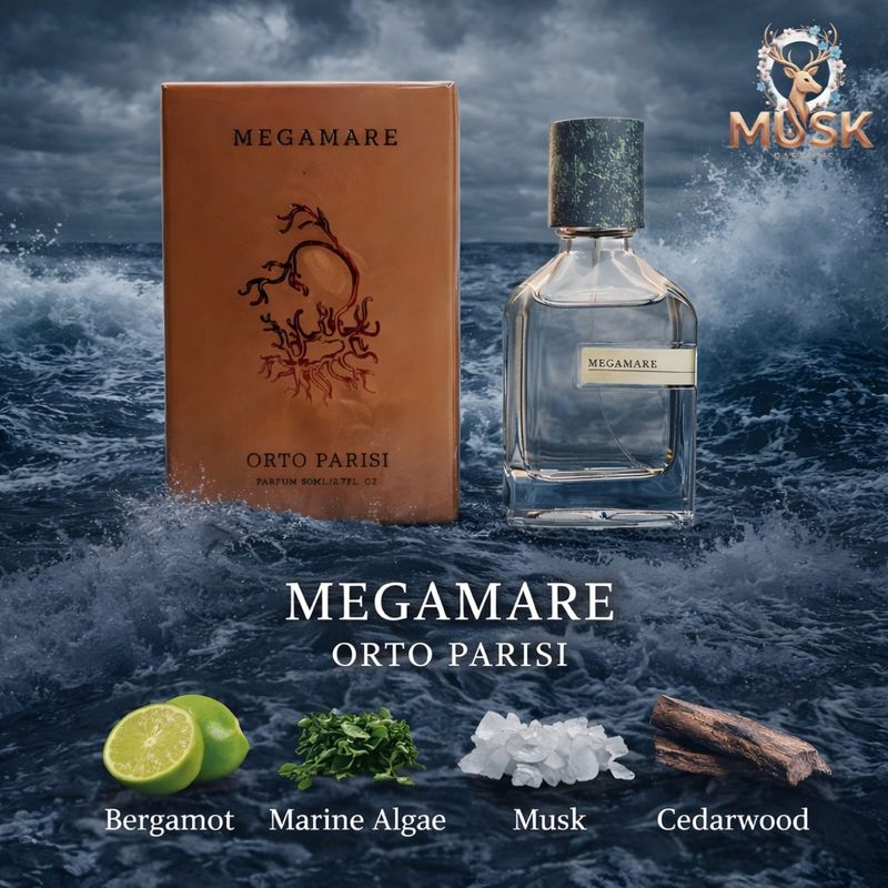 Megamare Orto Parisi 50ML