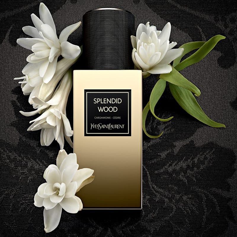 YSL Splendid Wood 125ML