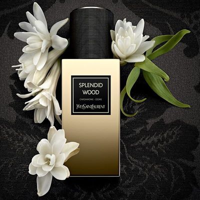 YSL Splendid Wood 125ML