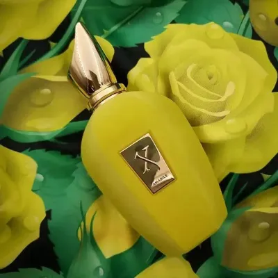 Xerjoff Amabile 100ML (without box)