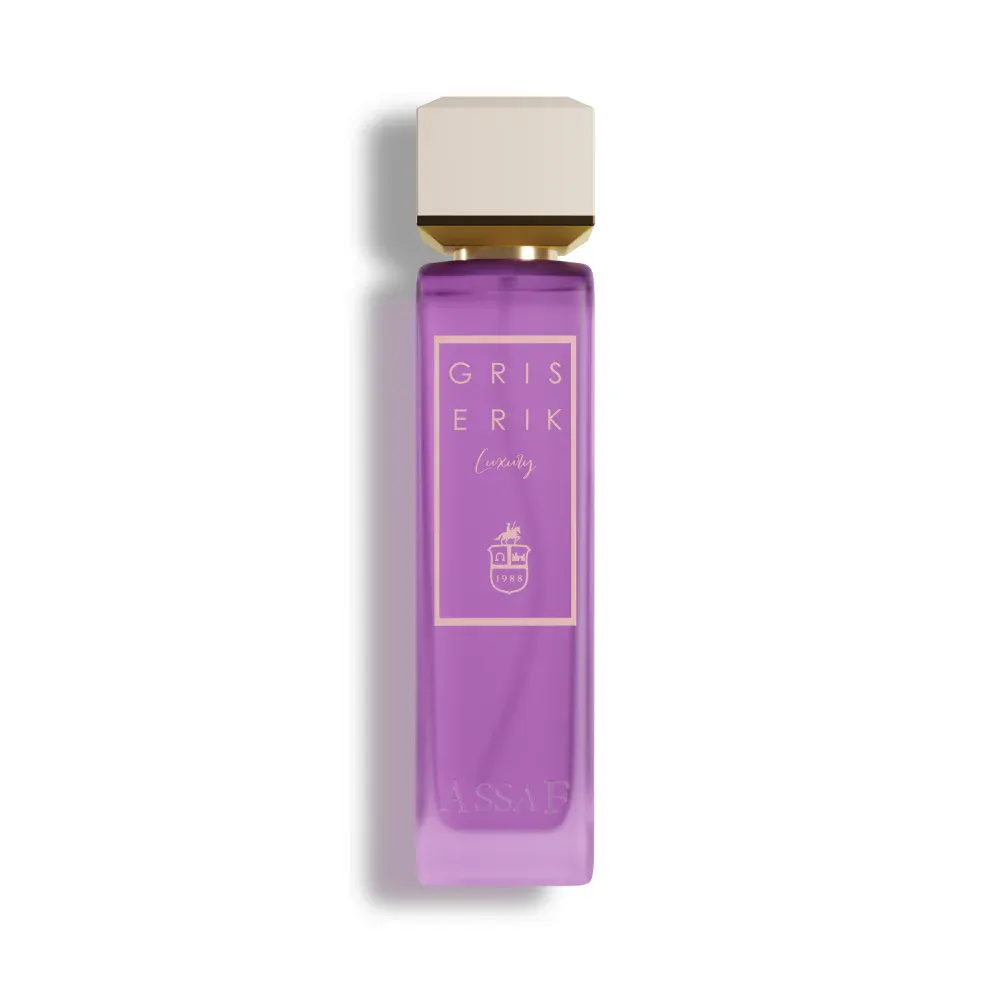 ASSAF Gris Erik 100ML