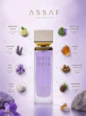 ASSAF Gris Erik 100ML