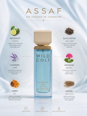 ASSAF WILD COLT 100ML