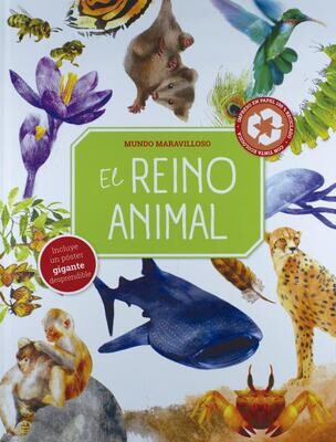 Yoyo Books Libro El Reino Animal