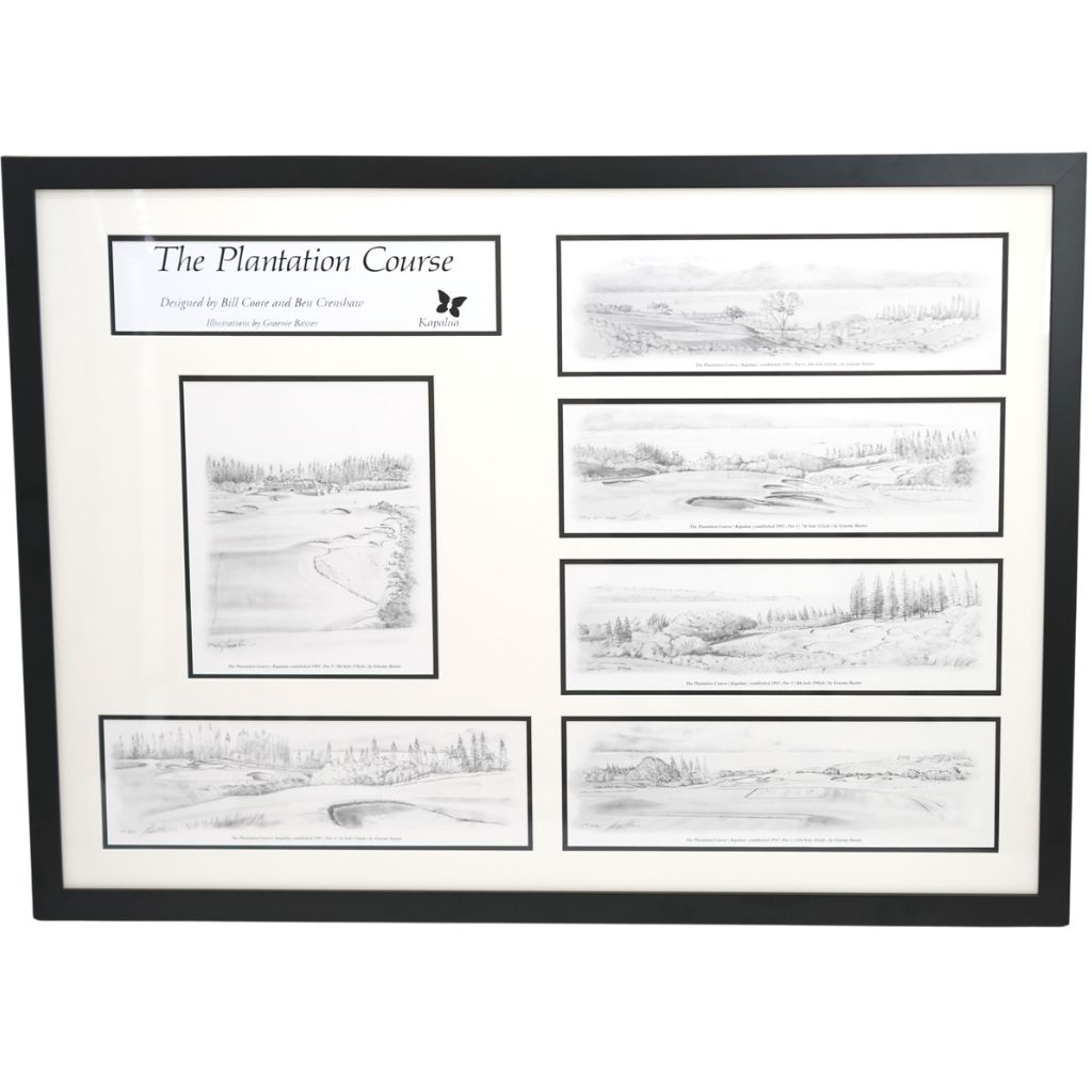 30th ANNIVERSARY PENCIL DRAWING COLLECTION (FRAMED)