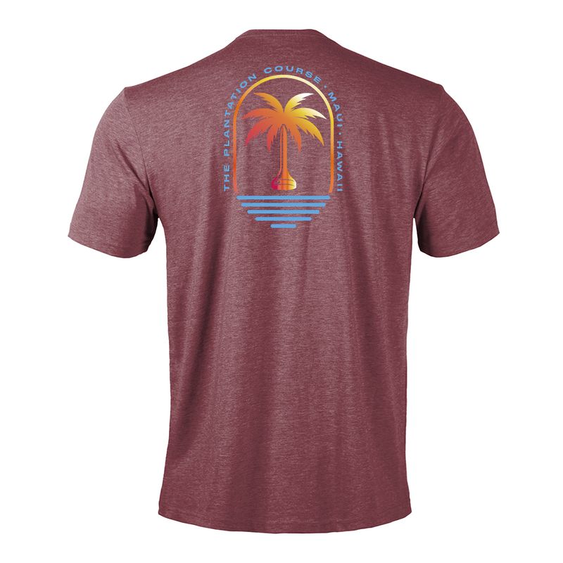 LEVELWEAR TSHIRT PALM ON TEE more colors