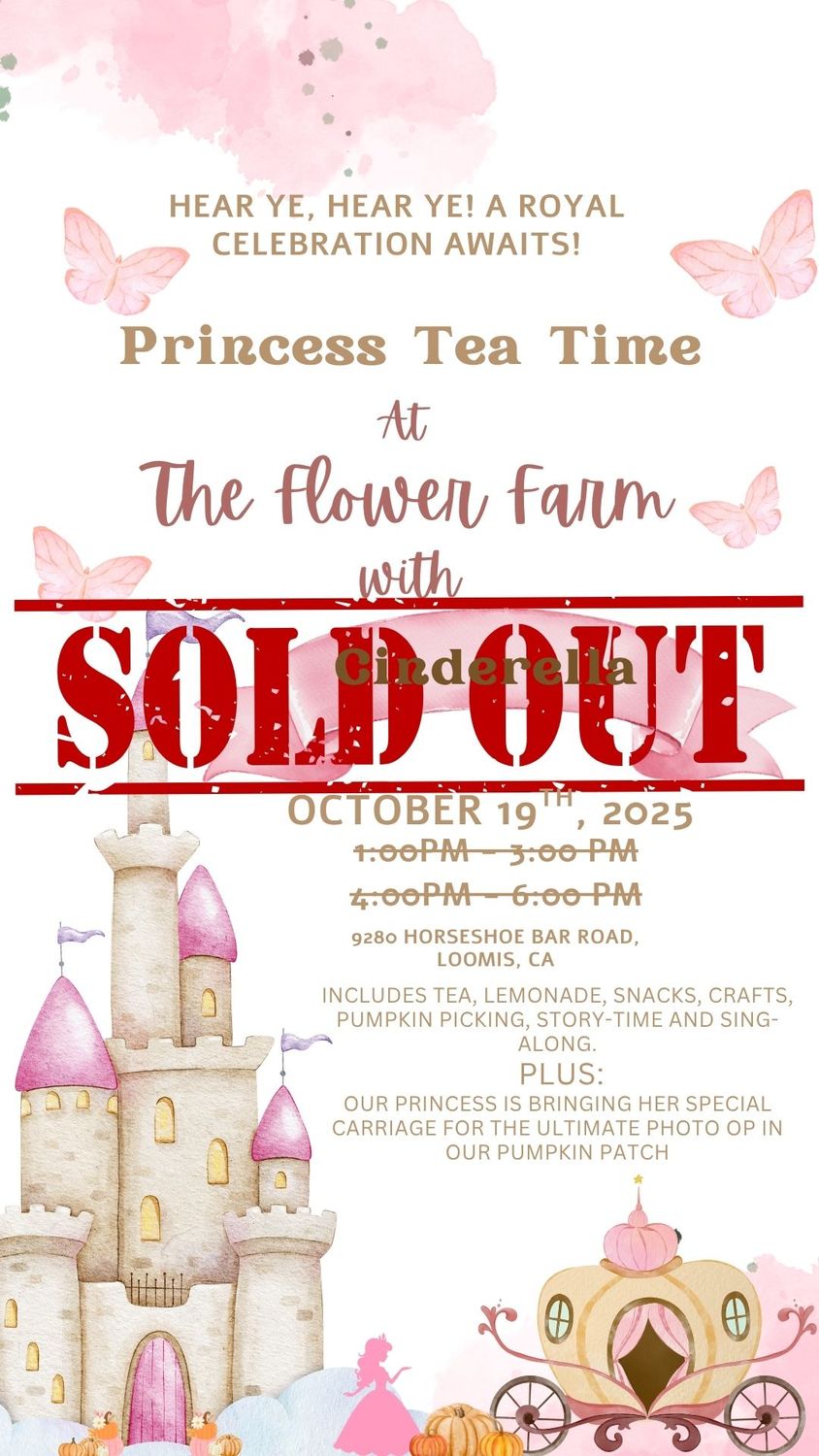 Princess Tea October 19th 4pm-6pm *SOLD OUT*