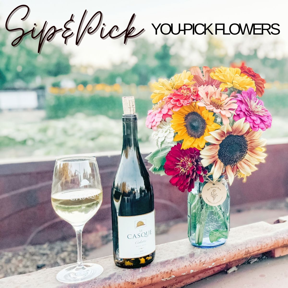 Sip &amp; Pick at The Flower Farm June 26th 5-7pm