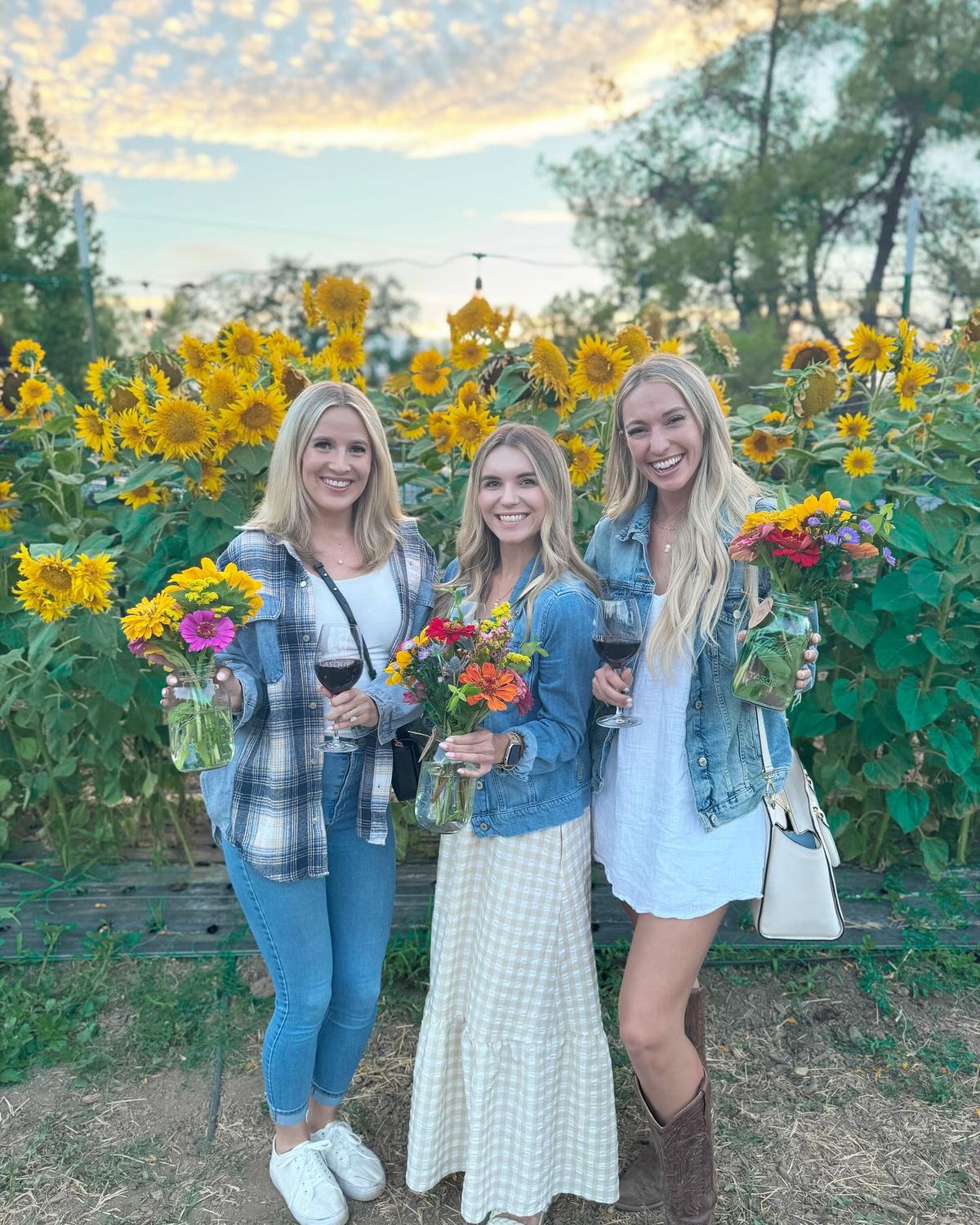 Photography Pass The Flower Farm Flower Field