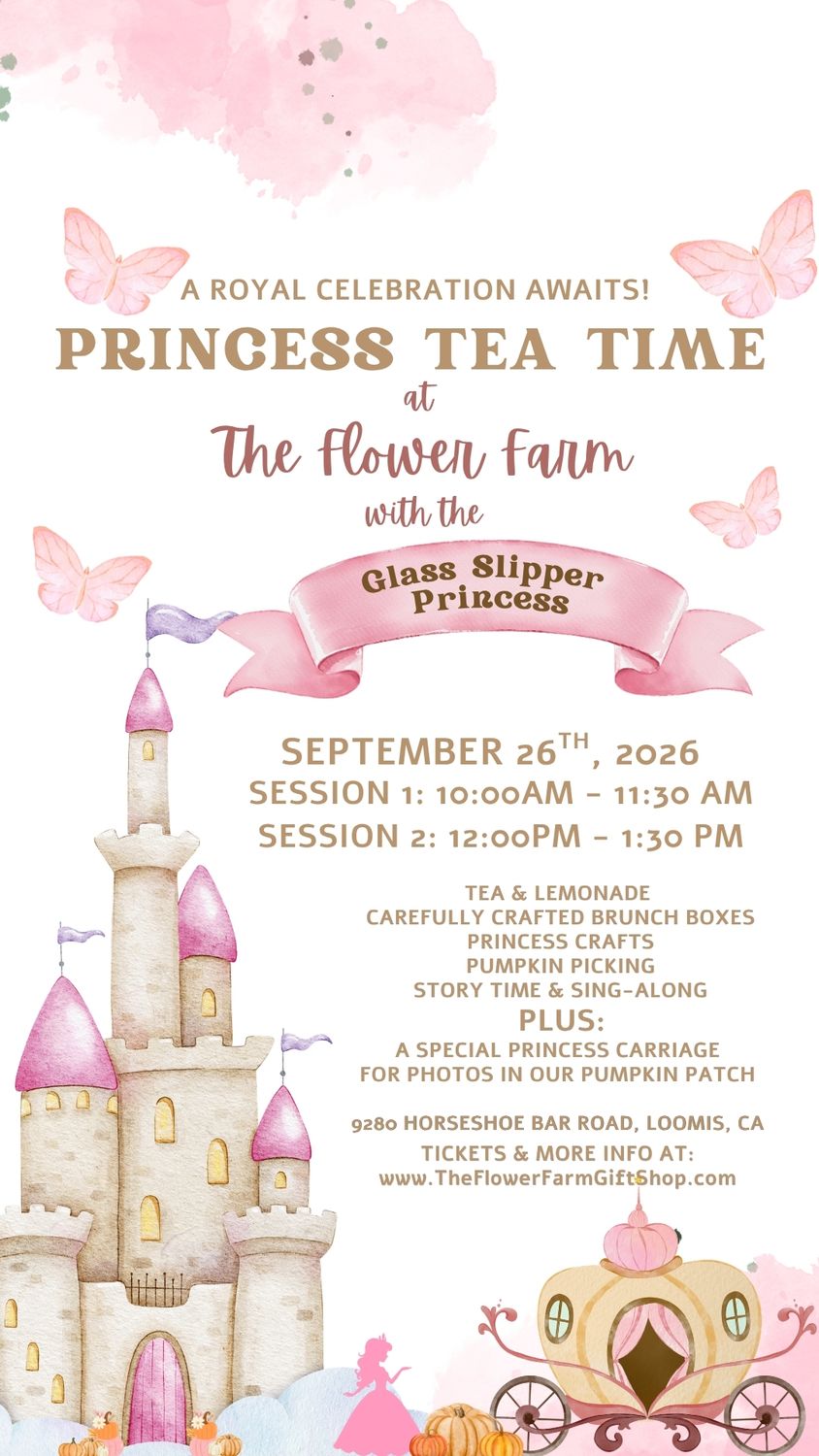 Princess Tea - Glass Slipper Princess - September 26th 12:00pm-1:30pm